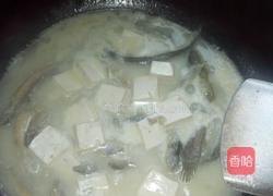 泥鳅炖豆腐汤的做法图解6