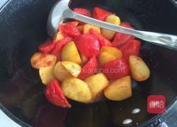 西红柿土豆炖牛肉的做法图解8