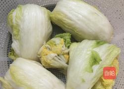 韩国辣白菜的做法图解4