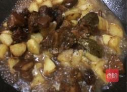 土豆烧肉的做法图解4