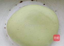 猪肉茴香饺子的做法图解5