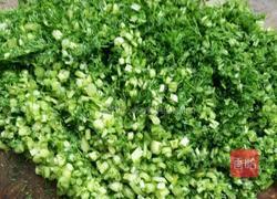 猪肉茴香饺子的做法图解10