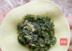 猪肉茴香饺子的做法图解13