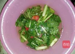 彩色饺子皮的做法图解2