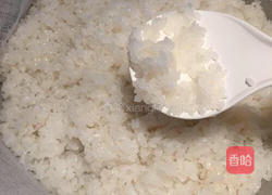 甜酒酿的做法图解6