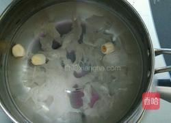 木瓜银耳莲子汤的做法图解3