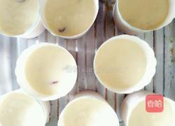 蔓越莓马芬的做法图解6