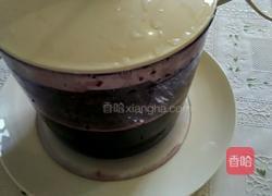 桑葚汁的做法图解4