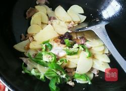 土豆片炒肉的做法图解9