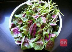 炒苋菜的做法图解1