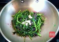 炒苋菜的做法图解5