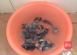 椰子炖乌鸡汤的做法图解4