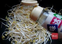 醋溜绿豆芽的做法图解5