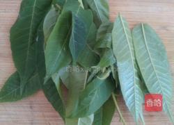 凉拌香椿的做法图解1