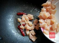 懒人宫保鸡丁的做法图解7