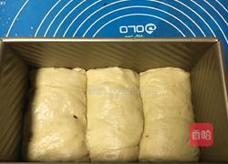 蔓越莓干土司的做法图解8