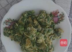 苦菊炒鸡蛋的做法图解7