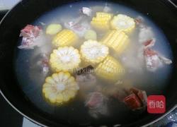 玉米炖排骨的做法图解4