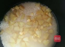 电饭煲骨汤土豆焖饭的做法图解4