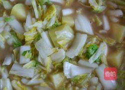 白菜炖土豆的做法图解6