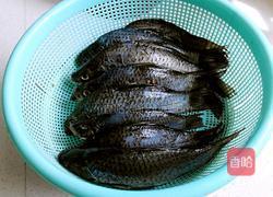 金针菇煮鲫鱼的做法图解1