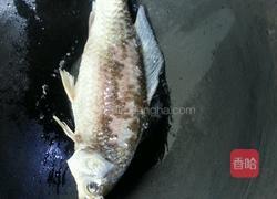 炖鲫鱼汤的做法图解1