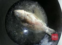 炖鲫鱼汤的做法图解2