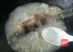 炖鲫鱼汤的做法图解3