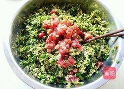 槐花包子的做法图解5