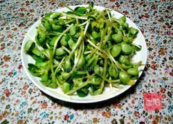清炒豆苗的做法图解1
