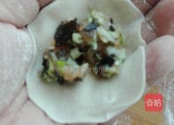 猪肉槐花陷饺子的做法图解20