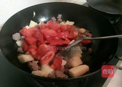 西红柿牛腩的做法图解8