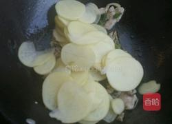 大辣椒炒土豆片的做法图解9