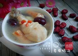 老母鸡汤的做法图解11