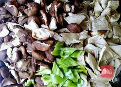 烧蘑菇的做法图解1