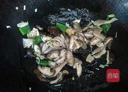 烧蘑菇的做法图解5