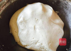 红豆沙煎堆,广东美食的做法图解4