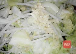 包菜粉丝的做法图解6