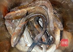 红烧泥鳅的做法图解1