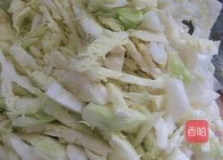 粉丝包菜的做法图解2