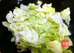 卷心菜炒肉的做法图解9