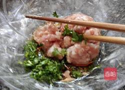 韭菜猪肉开口锅贴的做法图解3