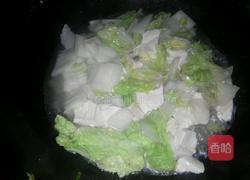 白菜炖豆腐的做法图解3