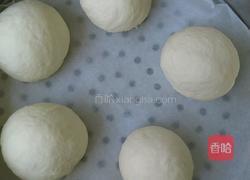芸豆包子的做法图解5