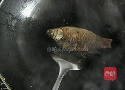 冬瓜薏仁鲫鱼汤的做法图解4