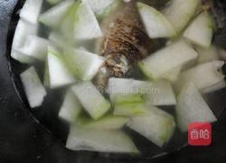 冬瓜薏仁鲫鱼汤的做法图解5