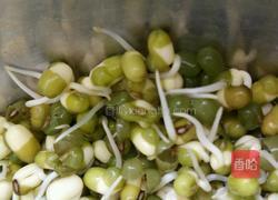 生绿豆芽的做法图解2