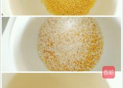 小熊电炖锅系列之煲党参枸杞红薯粥的做法图解3