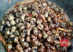 炒螺丝的做法图解9