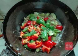 红烧牛蛙的做法图解14